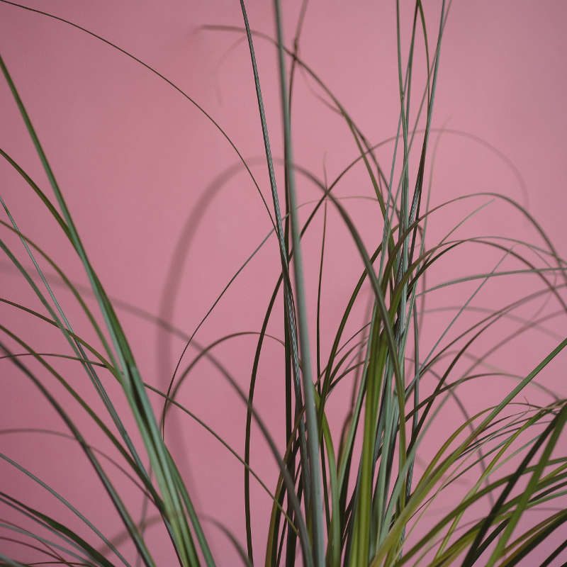 ueber-praxis_w800_h800